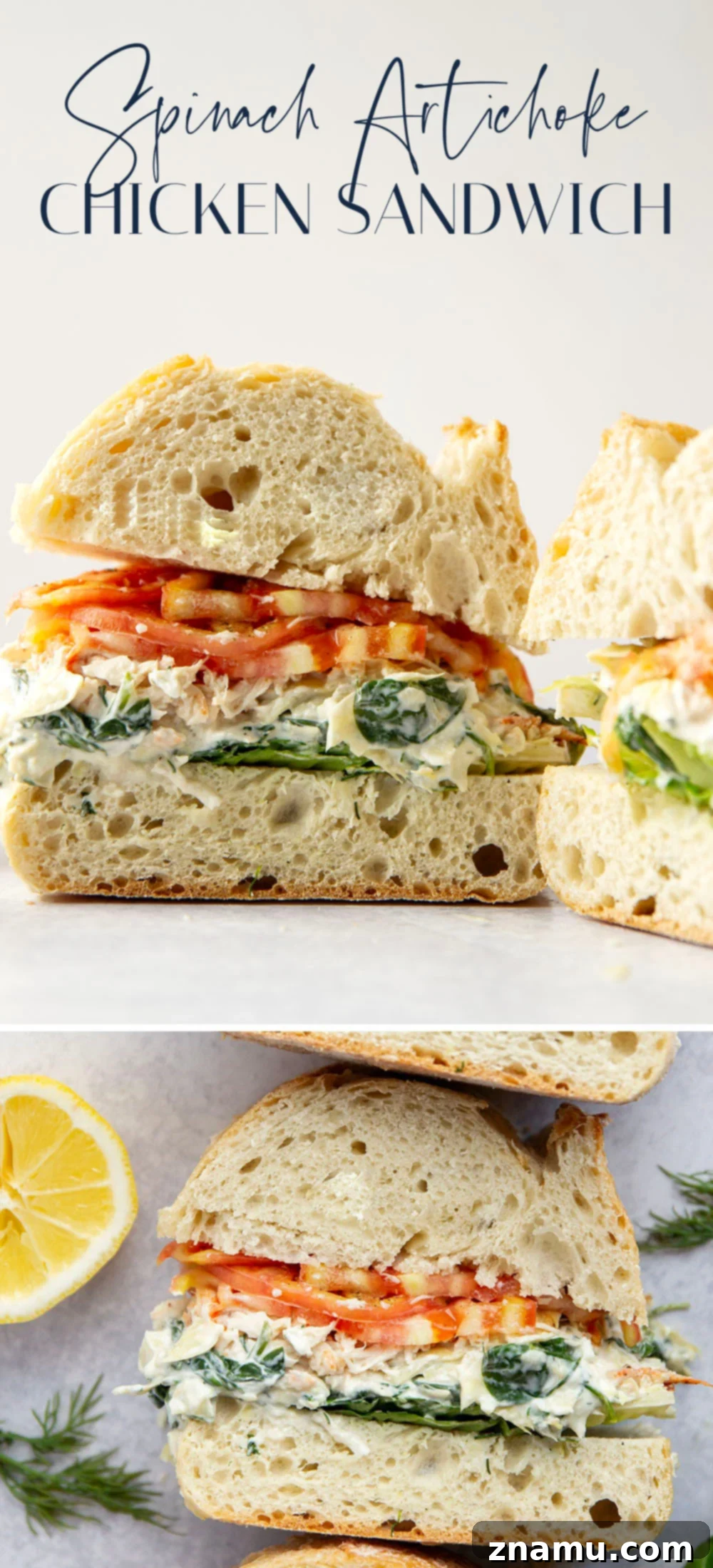 A full-view image of the spinach artichoke chicken sandwich, ready to be enjoyed.