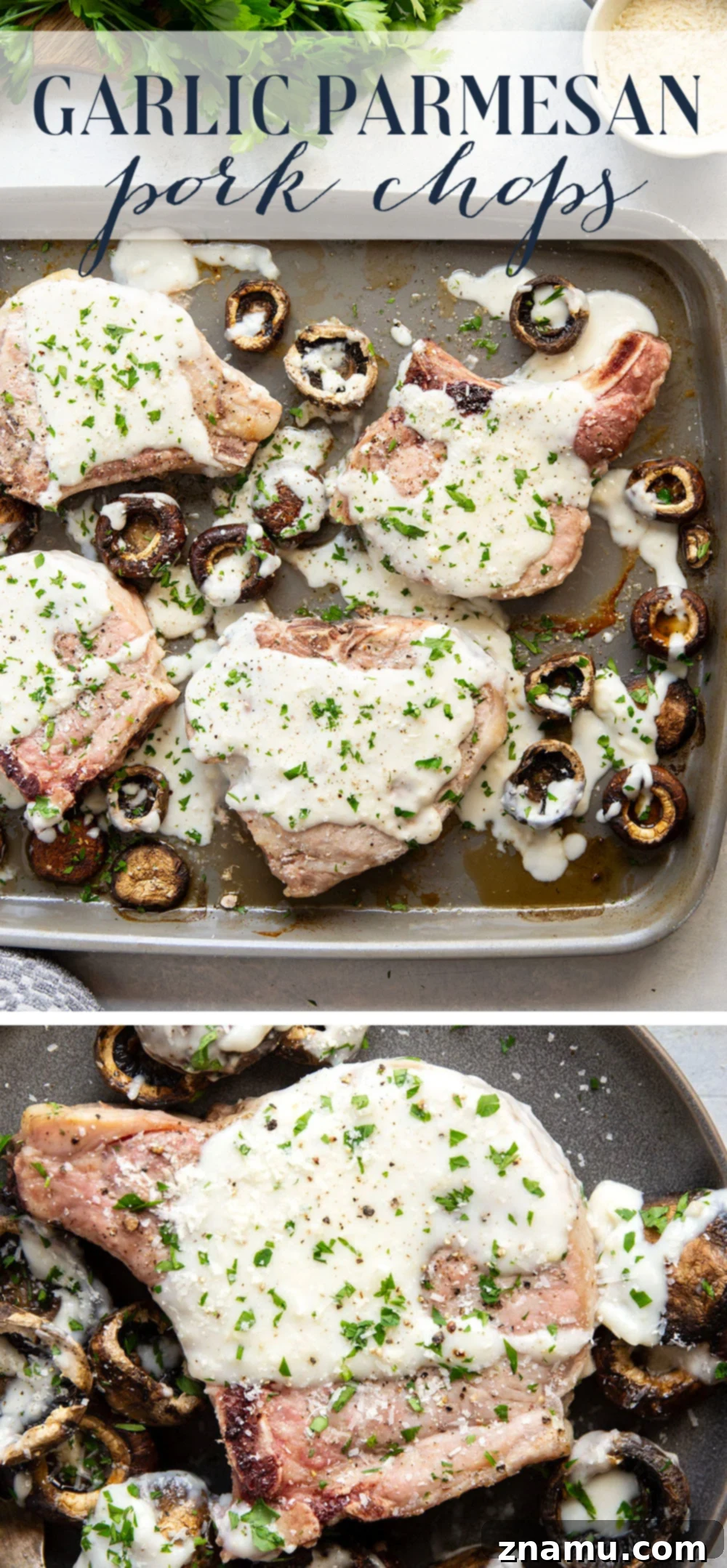 Overhead shot of a full Sheet Pan Garlic Parmesan Pork Chops and Mushrooms