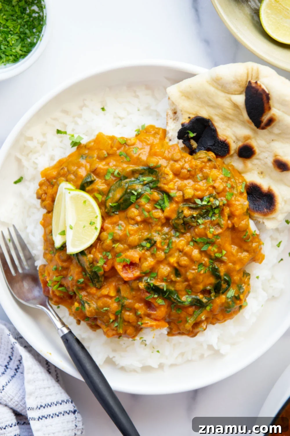 Spiced Pumpkin Lentil Curry 3 Close-up of the rich, orange pumpkin lentil curry simmering in a pot, showcasing the tender lentils and creamy texture.