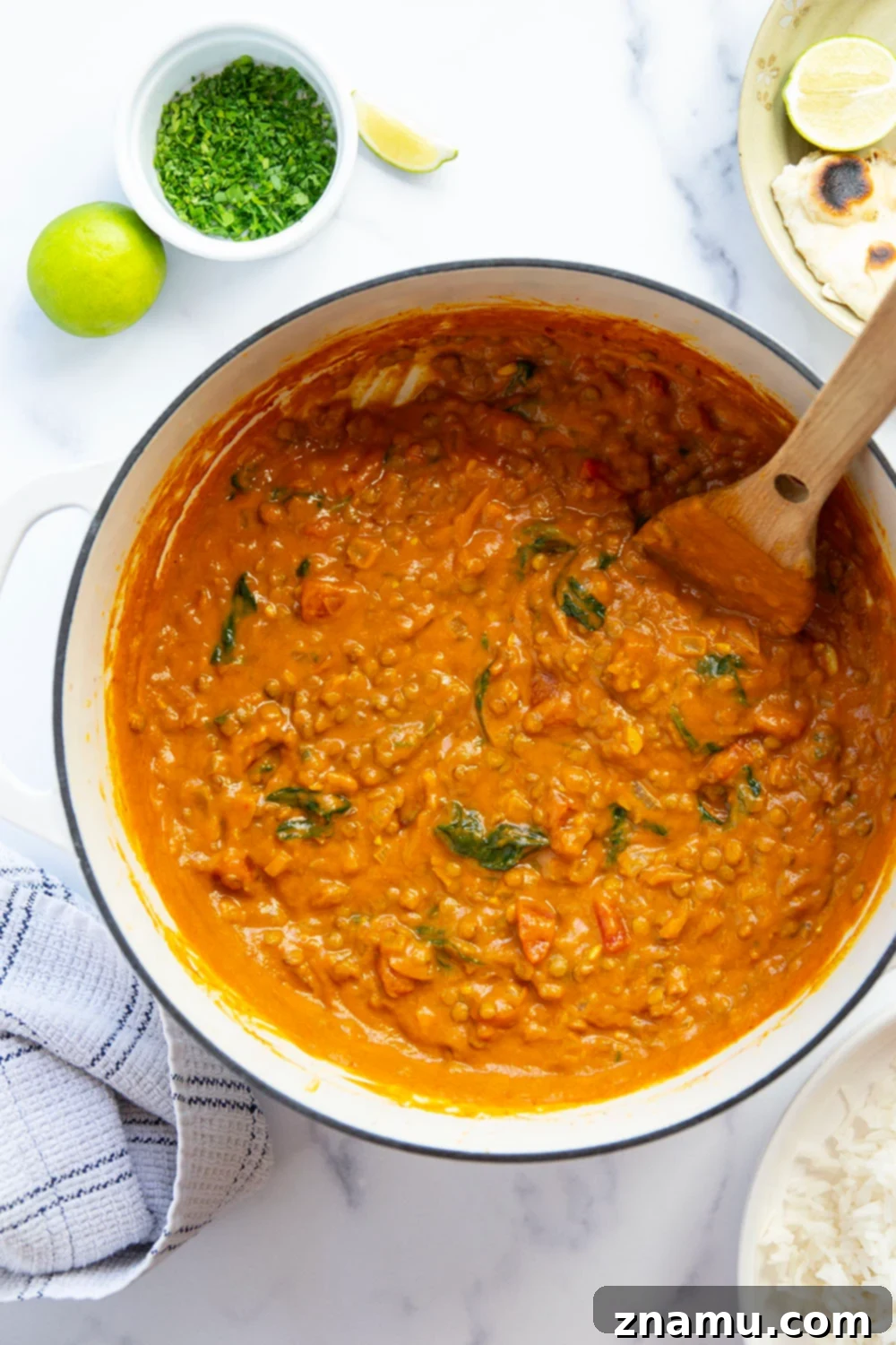 Spiced Pumpkin Lentil Curry 4 A bowl of pumpkin lentil curry with a spoon, showing the creamy sauce and soft lentils.