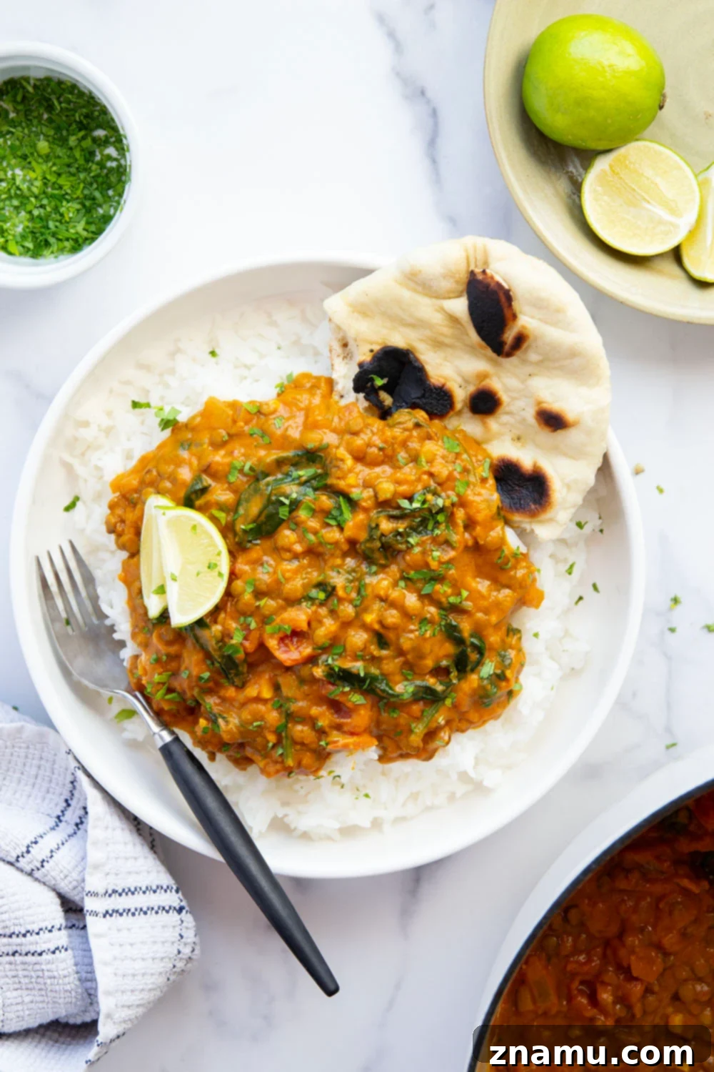 Spiced Pumpkin Lentil Curry 5 Bowl of pumpkin lentil curry garnished with fresh cilantro and a lime wedge, ready to be served over rice.
