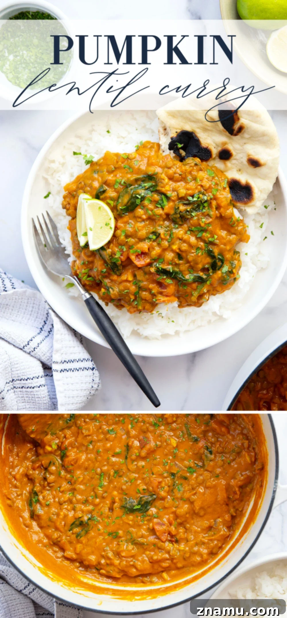 Spiced Pumpkin Lentil Curry 7 Overhead shot of a full spread including pumpkin lentil curry, rice, naan, and garnishes.