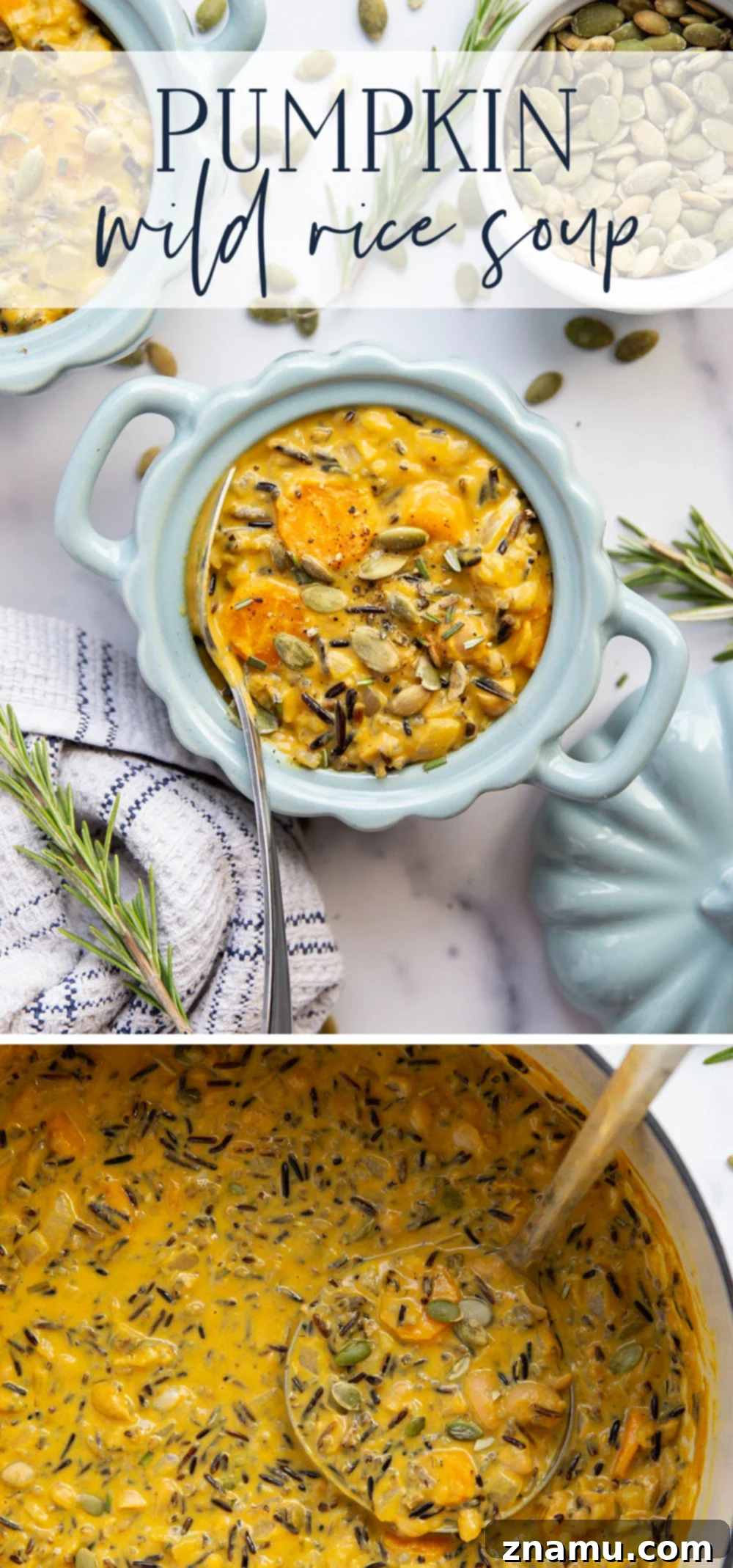 Velvet Pumpkin and Wild Rice Delight 7 Creamy pumpkin and hearty wild rice are the perfect duo in this easy one-pot pumpkin wild rice soup!