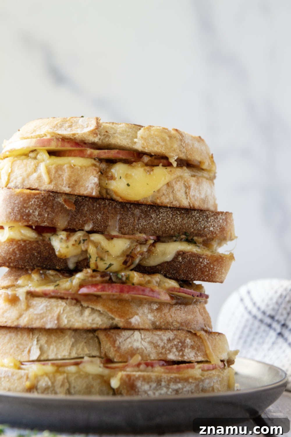 A perfectly golden-brown caramelized onion grilled cheese sandwich with melted sharp cheddar and gouda, ready to enjoy.