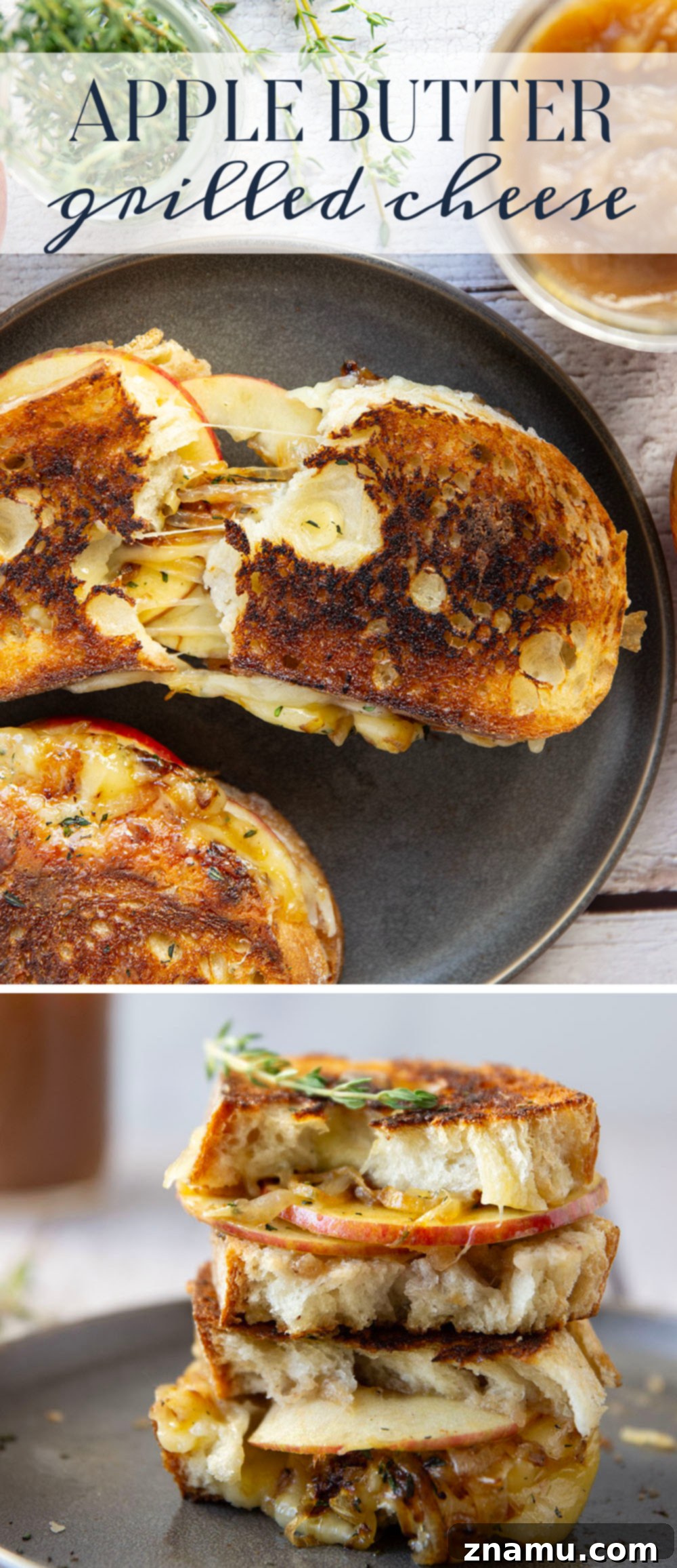 A stunning top-down view of the caramelized onion and apple butter grilled cheese sandwich on a wooden board.