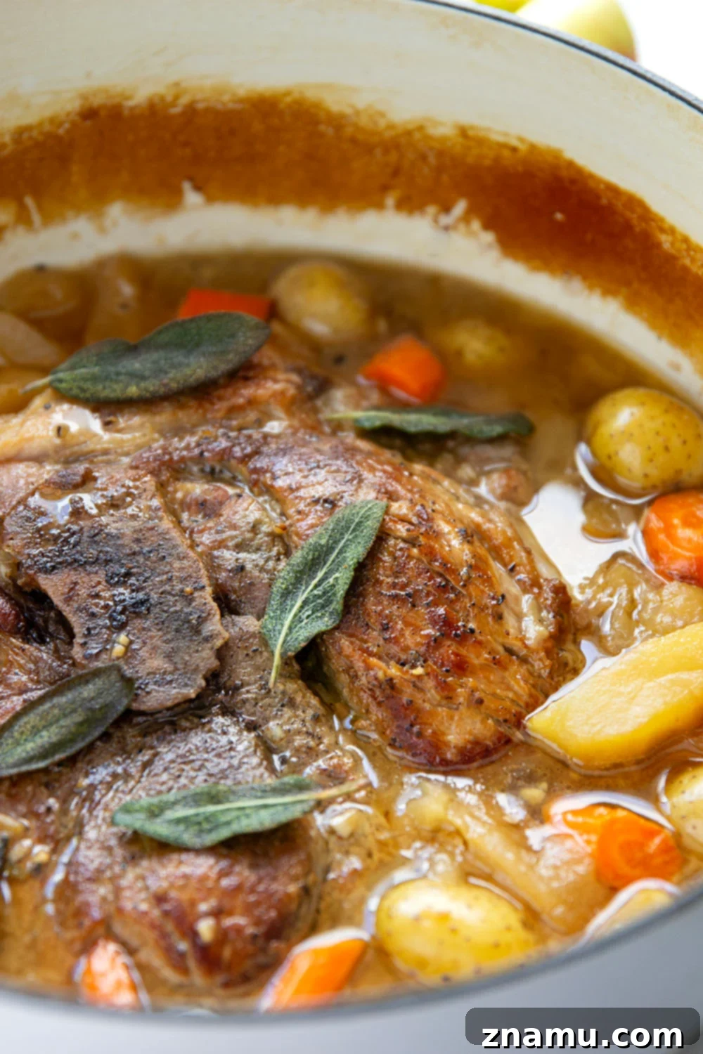 Slow-Braised Pork Shoulder with Apple Cider and Sage 2 Braised low and slow in sweet apple cider and fragrant fresh sage, this apple cider braised pork shoulder cooks up fall-apart tender and is a fall dinner favorite!