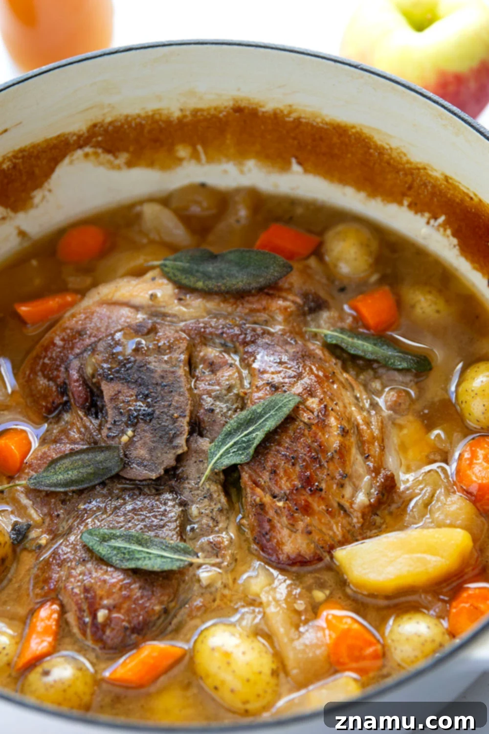 Slow-Braised Pork Shoulder with Apple Cider and Sage 5 Braised low and slow in sweet apple cider and fragrant fresh sage, this apple cider braised pork shoulder cooks up fall-apart tender and is a fall dinner favorite!