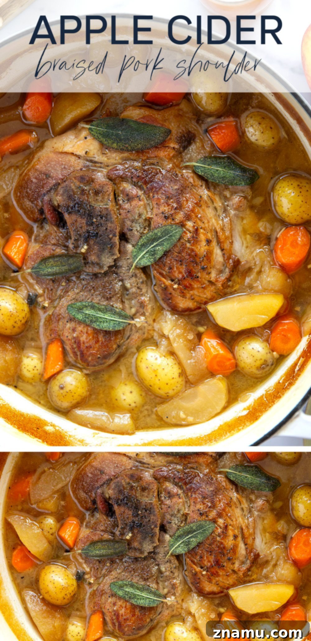 Slow-Braised Pork Shoulder with Apple Cider and Sage 7 Braised low and slow in sweet apple cider and fragrant fresh sage, this apple cider braised pork shoulder cooks up fall-apart tender and is a fall dinner favorite!