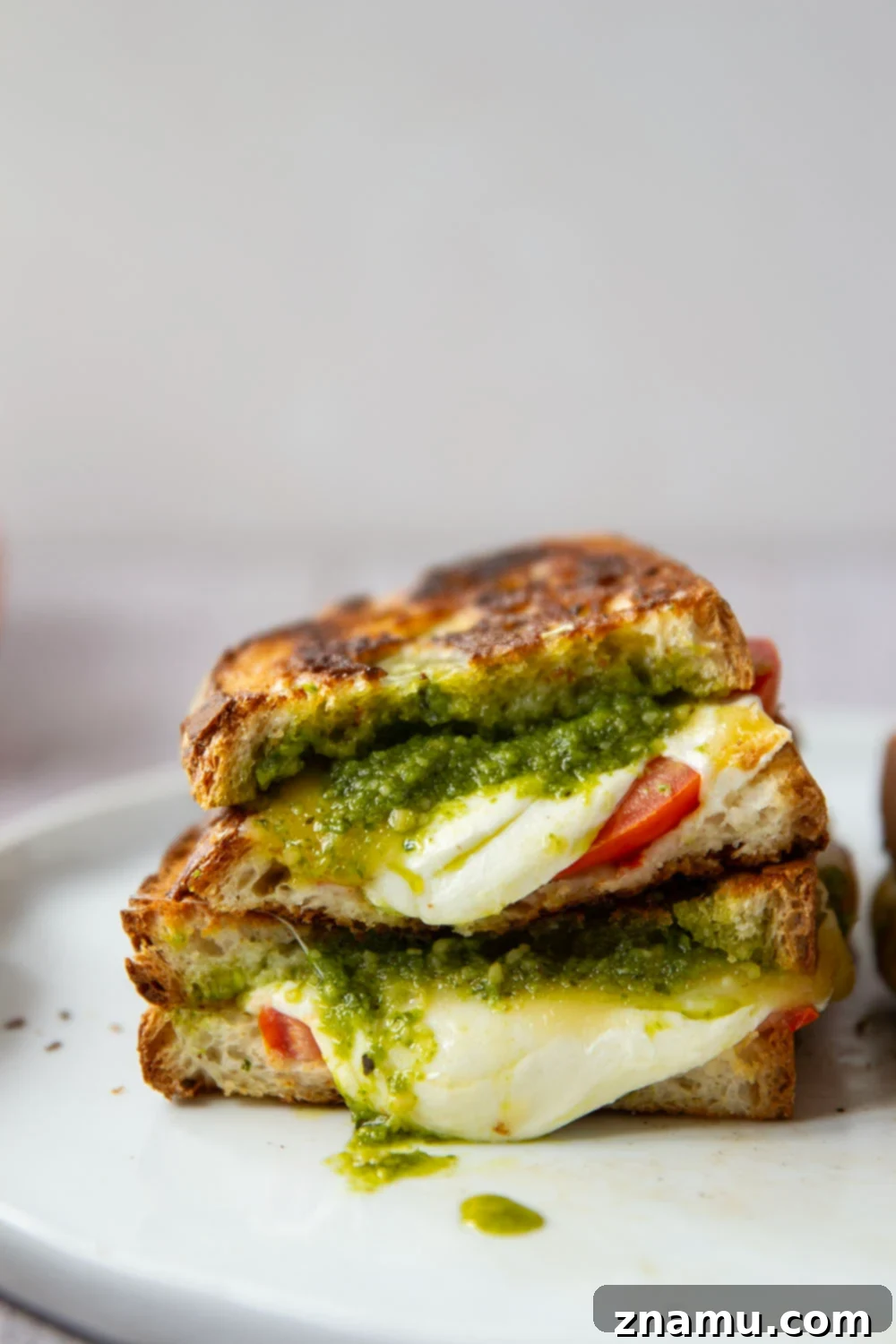 Gourmet Pesto Melt 2 Gourmet pesto grilled cheese sandwich with melted cheese, fresh tomato, and basil pesto