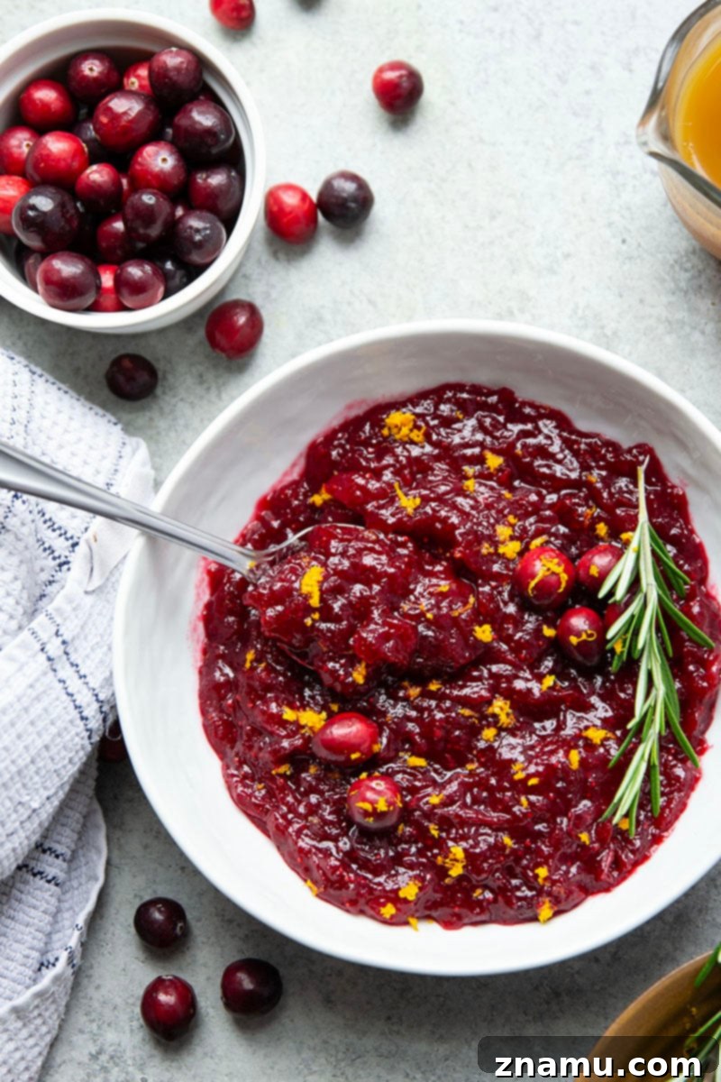 Your Thanksgiving Feast Roadmap 11 A bowl of Mom's Cranberry Sauce, homemade and glistening with whole cranberries, garnished with orange zest and fresh herbs.