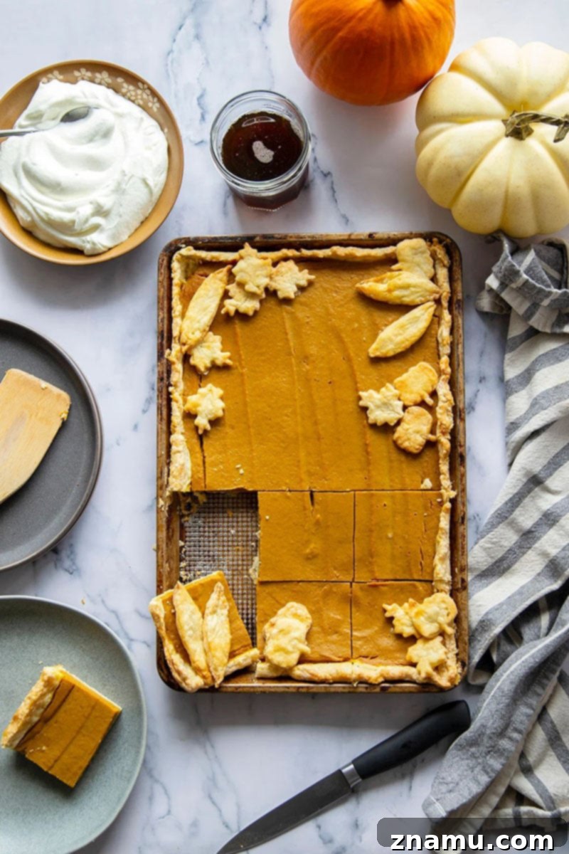 Your Thanksgiving Feast Roadmap 22 A large Sheet Pan Pumpkin Pie, cut into squares and garnished with whipped cream, ready to serve a crowd.