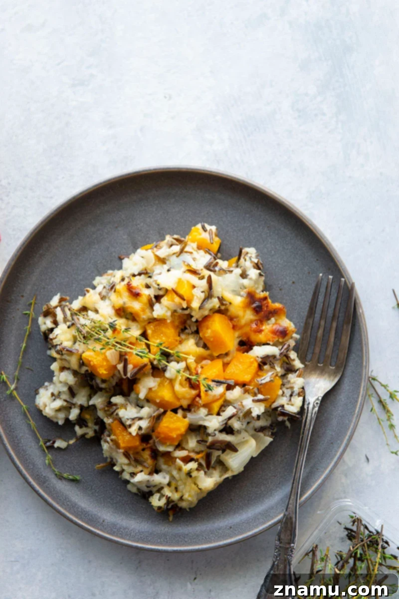 Your Thanksgiving Feast Roadmap 29 A warm Butternut Squash Wild Rice Casserole, baked to a golden brown, garnished with fresh herbs, in a baking dish.