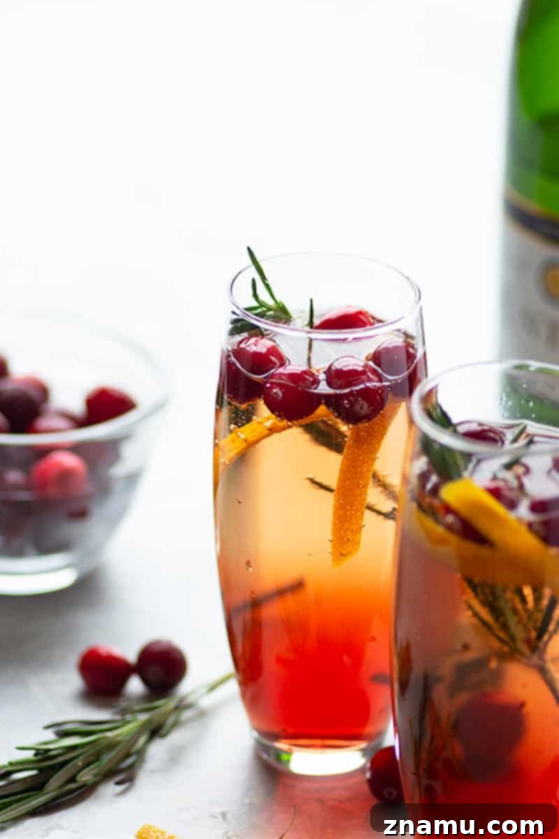 Your Thanksgiving Feast Roadmap 6 A Poinsettia Cocktail, vibrant red with cranberry juice and champagne, garnished with orange slices and fresh cranberries.