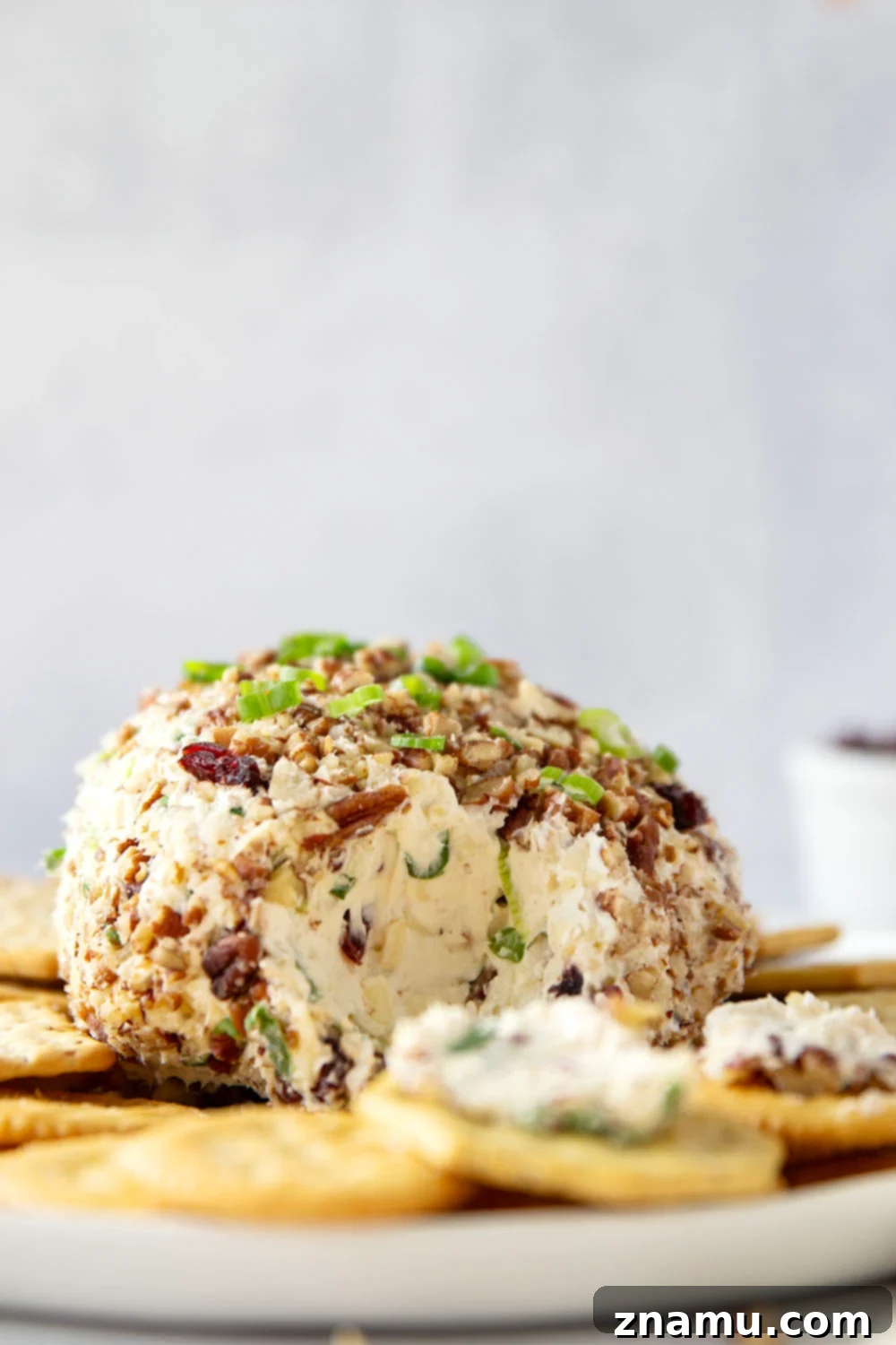 Smoky Cranberry Cheese Delight 2 A festive Smoked Cranberry Cheese Ball, featuring a creamy texture studded with vibrant cranberries and green onions, generously coated with toasted pecans, served with an array of crackers on a beautiful serving platter.