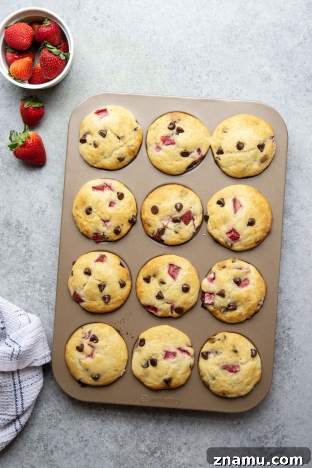 Gourmet Strawberry Chocolate Chip Muffins 3 Packed with gooey chocolate chips and juicy fresh strawberries, these strawberry chocolate chip muffins are quick to whip up and a breakfast favorite!