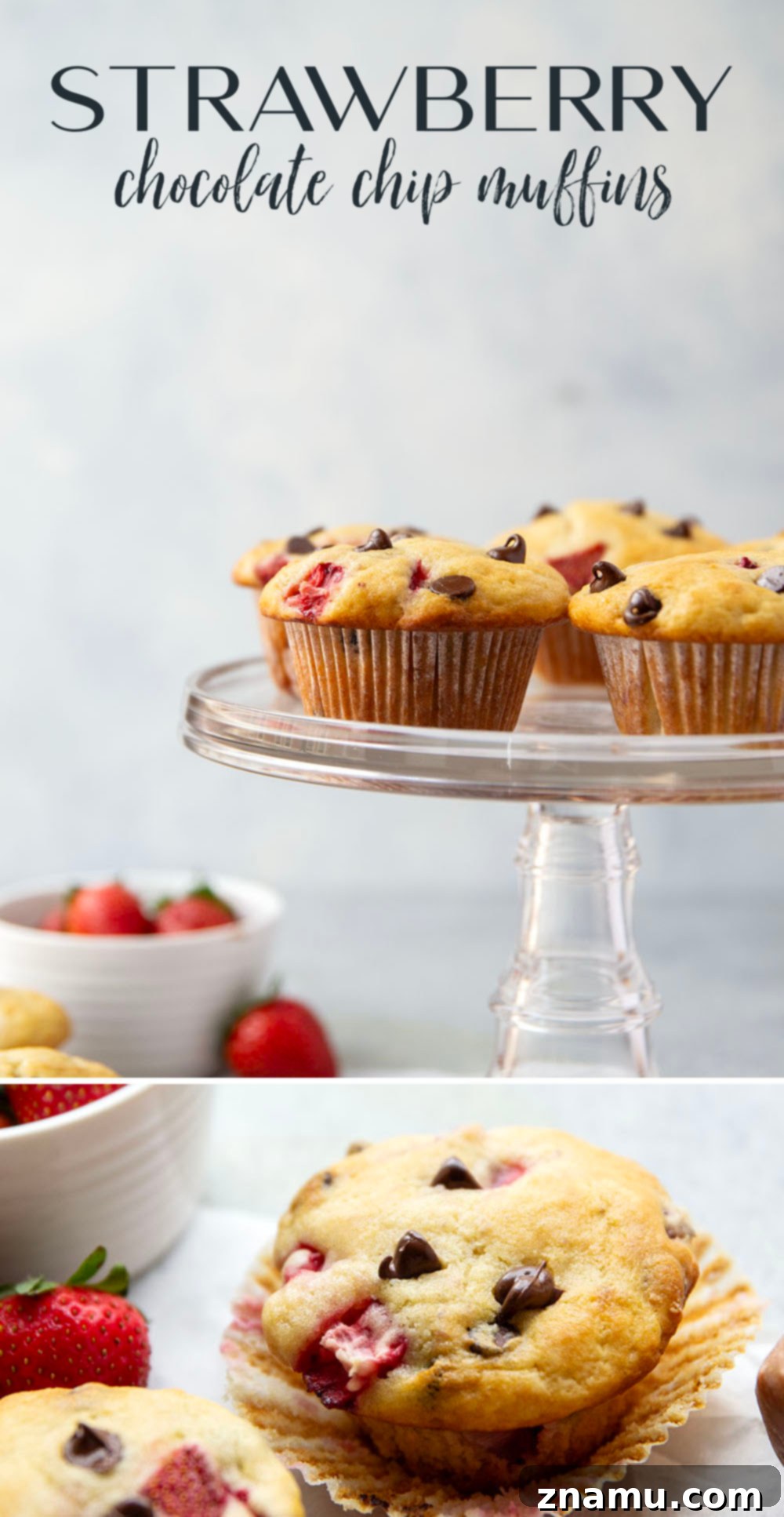 Gourmet Strawberry Chocolate Chip Muffins 7 Packed with gooey chocolate chips and juicy fresh strawberries, these strawberry chocolate chip muffins are quick to whip up and a breakfast favorite!