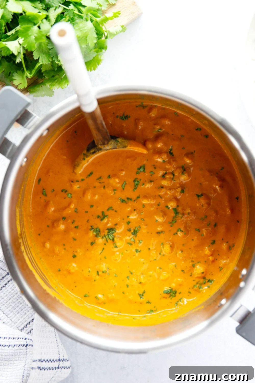 Close-up of creamy Instant Pot Butter Chickpeas served with rice and cilantro, highlighting the vibrant colors and appealing texture.