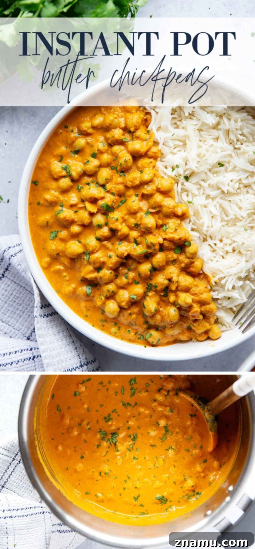 A final close-up of the Instant Pot Butter Chickpeas, showcasing the creamy texture and spice blend, ready to be served.