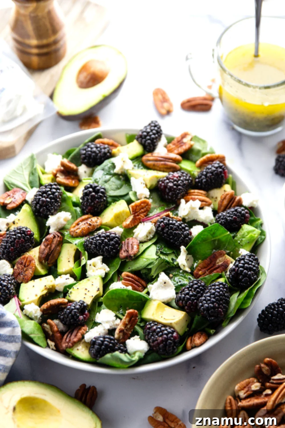 Blackberry Chèvre Salad with Zesty Citrus Poppyseed Vinaigrette 2 Vibrant Blackberry Goat Cheese Salad with Citrus Poppyseed Dressing