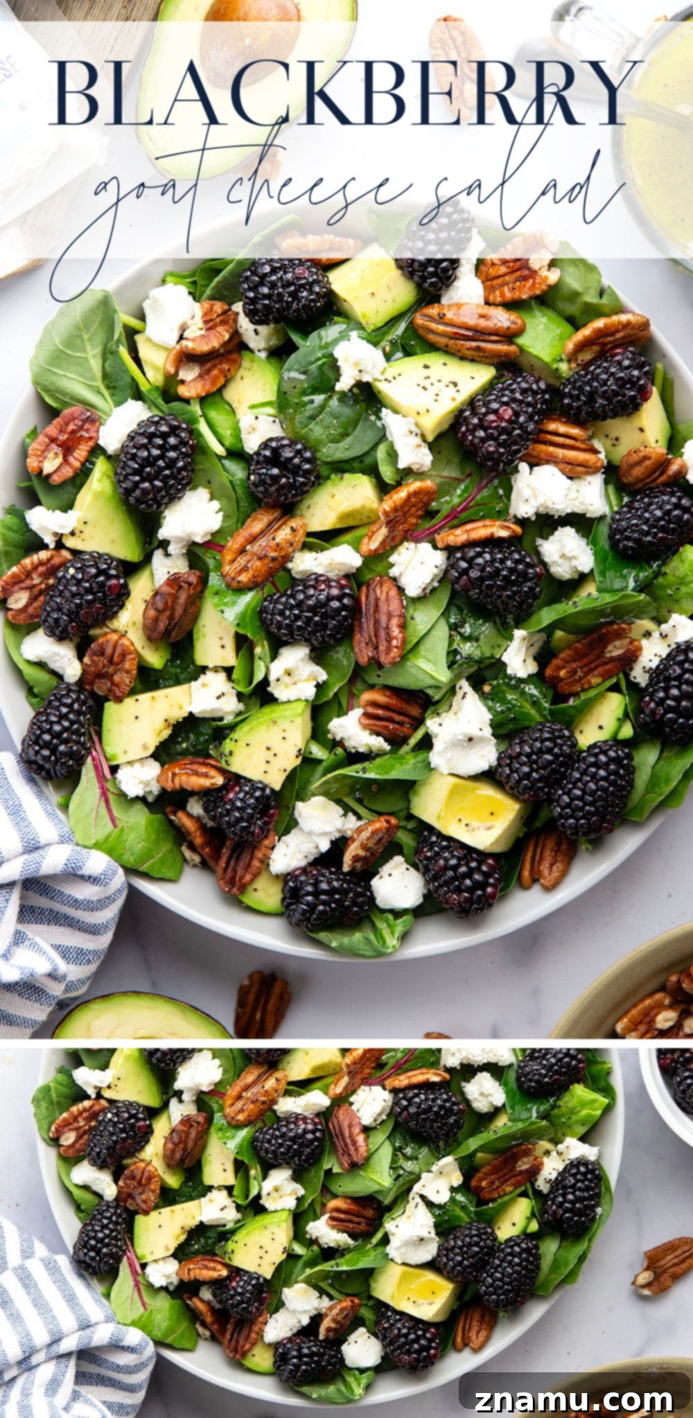 Blackberry Chèvre Salad with Zesty Citrus Poppyseed Vinaigrette 7 Plated Blackberry Goat Cheese Salad ready to be enjoyed