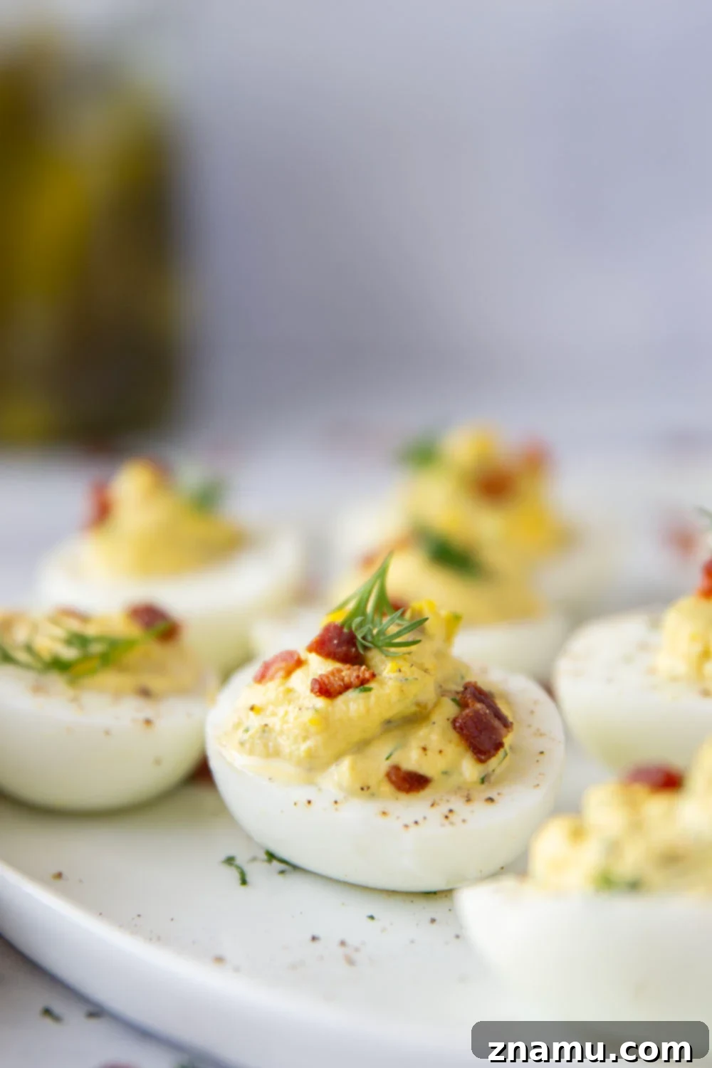 Zesty Bacon Dill Pickle Deviled Eggs 3 Close-up of creamy dill pickle deviled eggs topped with fresh dill and bacon.