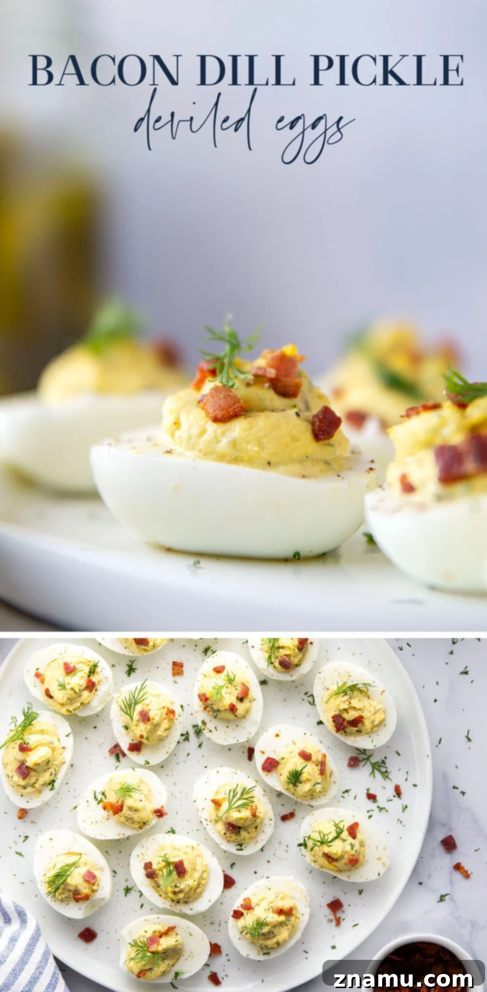 Zesty Bacon Dill Pickle Deviled Eggs 7 A large batch of dill pickle deviled eggs garnished with dill.