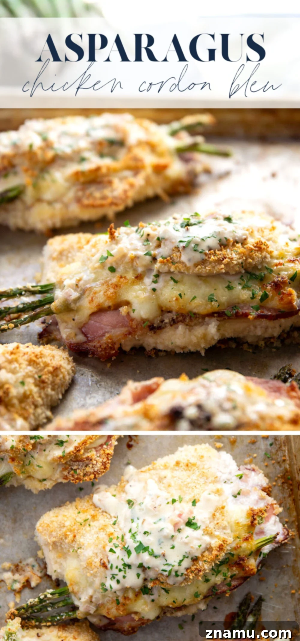Verdant Cordon Bleu Chicken 7 Beautifully baked and sauced Asparagus Stuffed Chicken Cordon Bleu