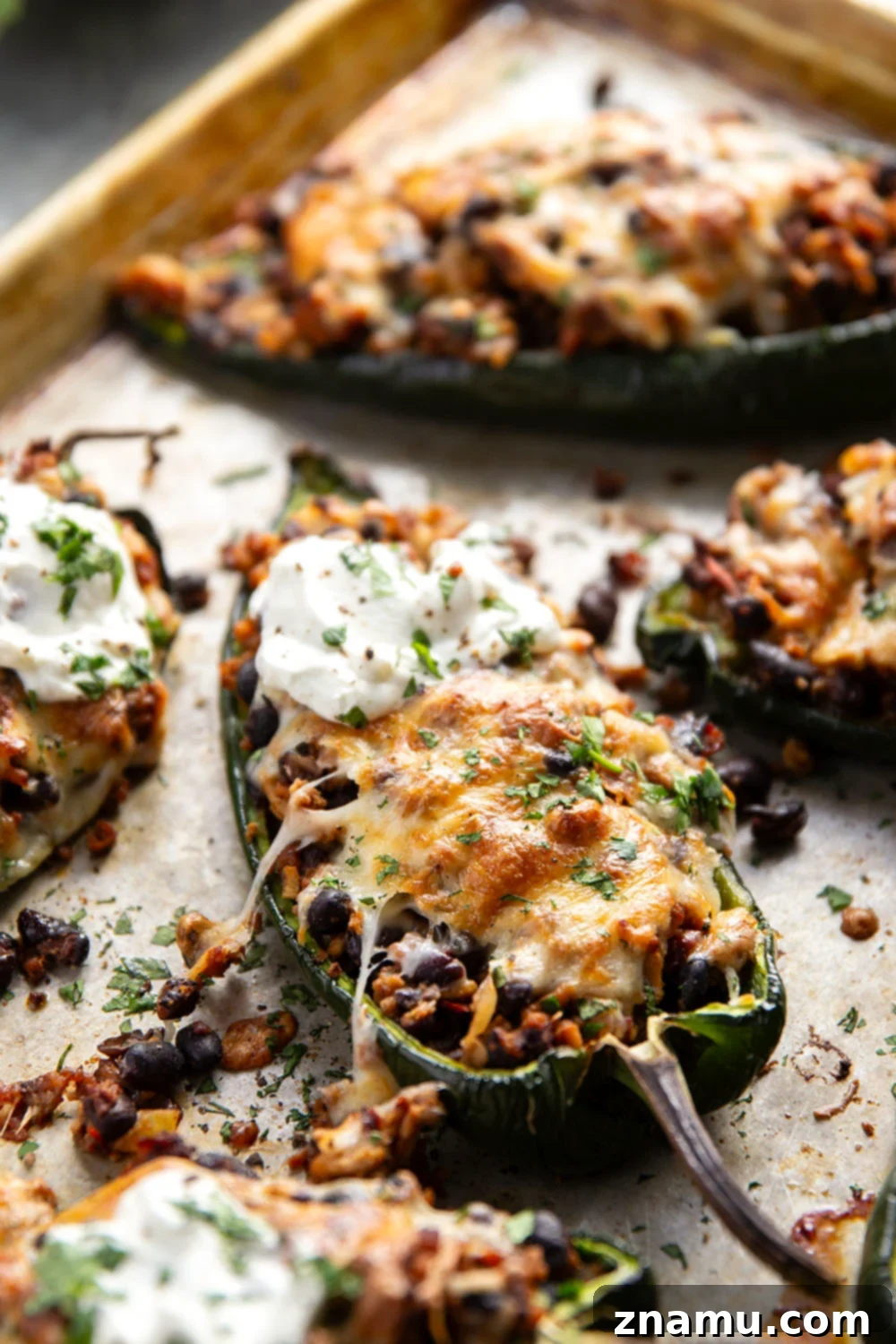 Zesty Chipotle Chicken Poblano Boats 4 Stuffed with a spicy chipotle chicken black bean filling and baked with lots of cheese on top, these chicken stuffed poblano peppers are an easy weeknight dinner that you can even prep ahead of time.