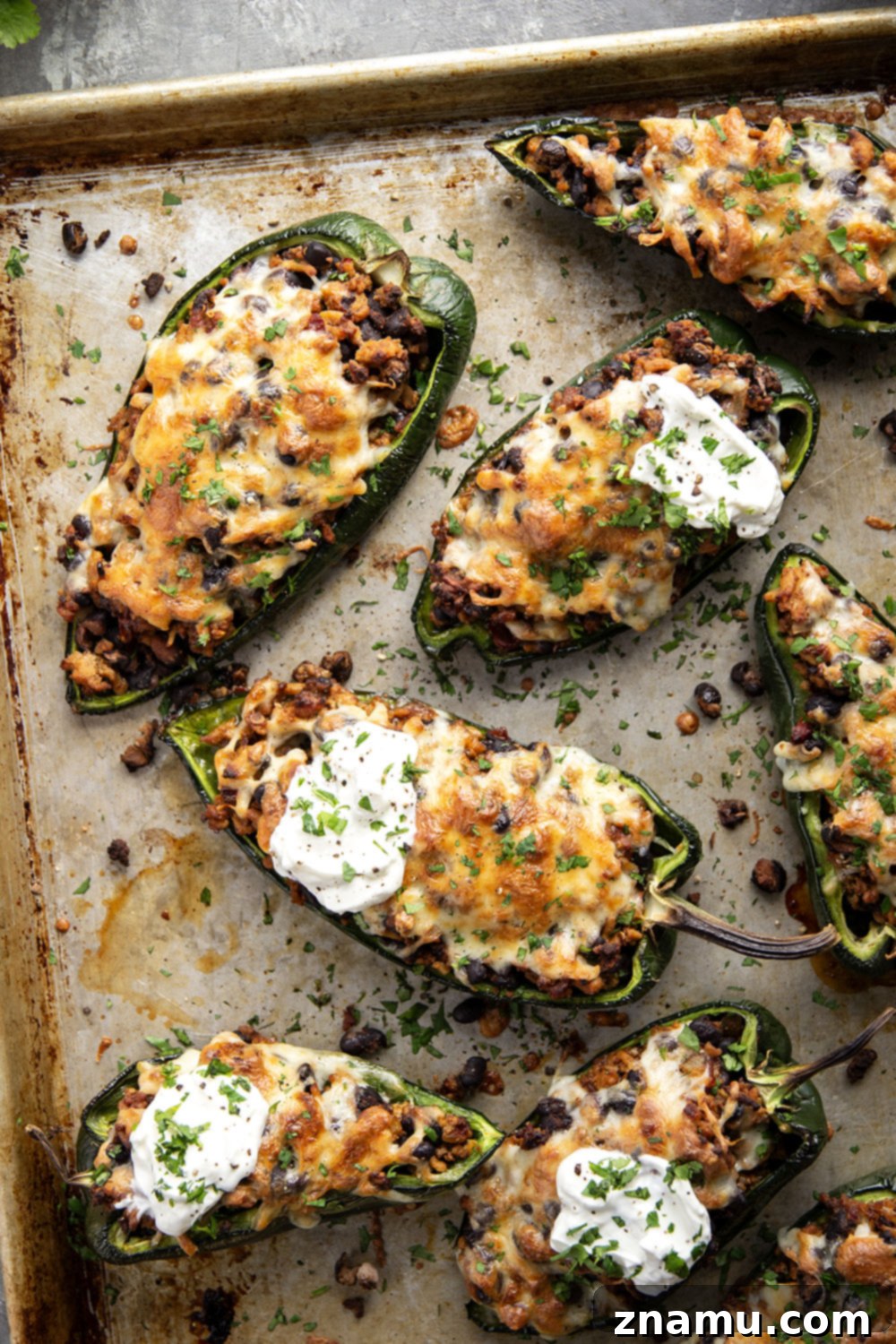 Zesty Chipotle Chicken Poblano Boats 5 Stuffed with a spicy chipotle chicken black bean filling and baked with lots of cheese on top, these chicken stuffed poblano peppers are an easy weeknight dinner that you can even prep ahead of time.