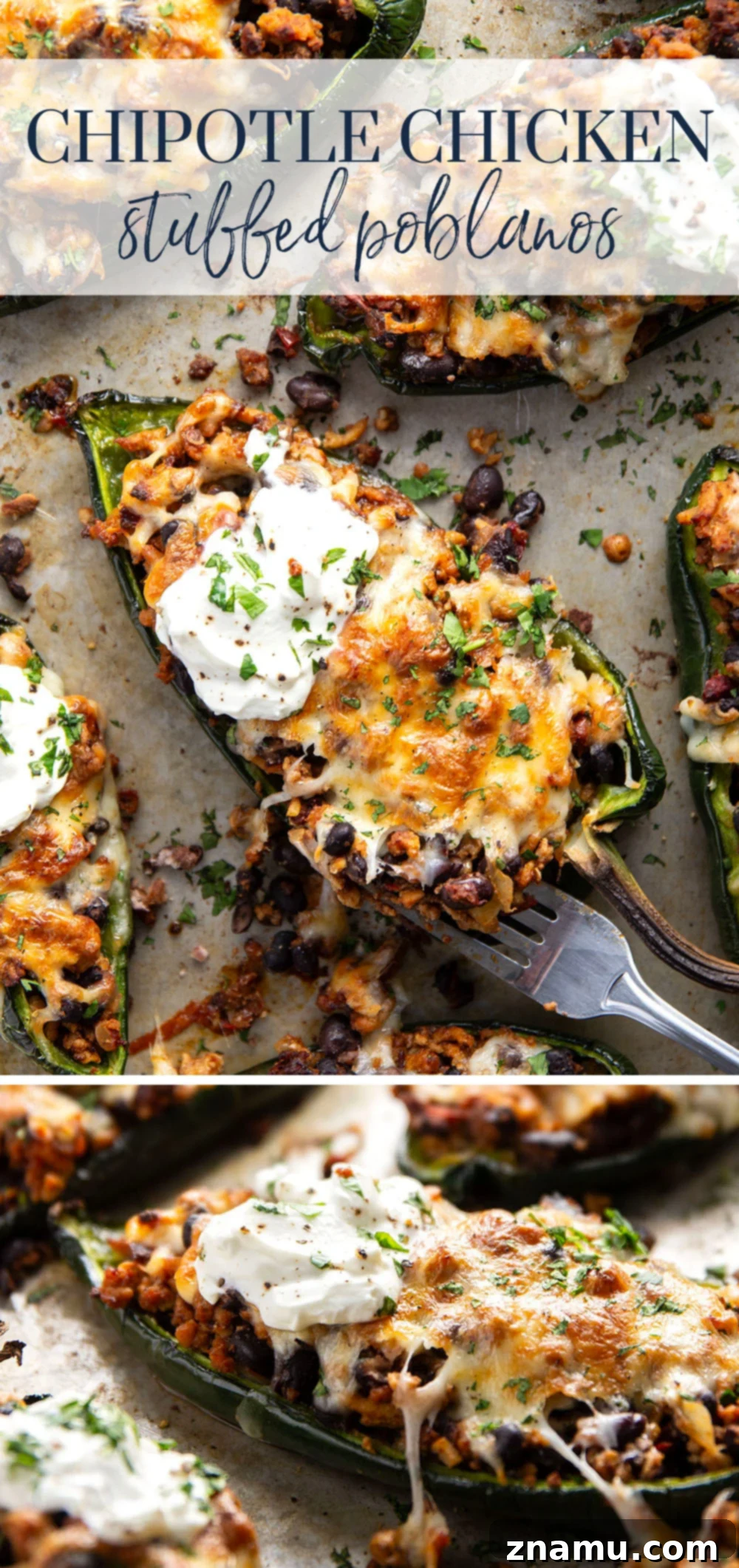 Zesty Chipotle Chicken Poblano Boats 7 Stuffed with a spicy chipotle chicken black bean filling and baked with lots of cheese on top, these chicken stuffed poblano peppers are an easy weeknight dinner that you can even prep ahead of time.