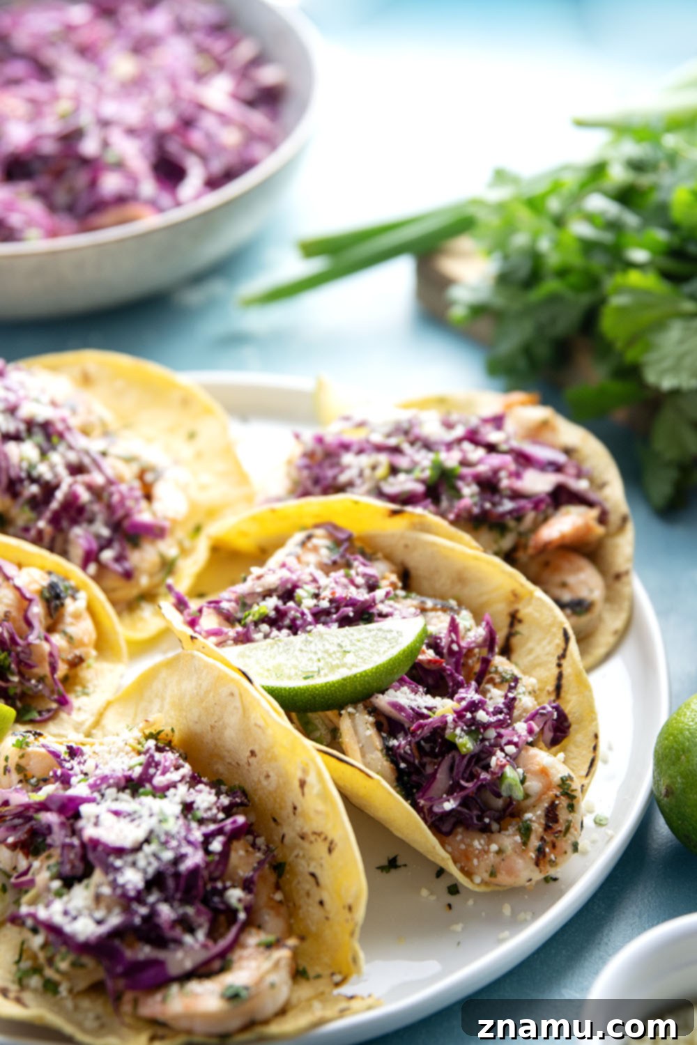 Sizzling Cilantro Lime Shrimp Tacos with Smoky Chipotle Slaw 5 A beautifully arranged plate of cilantro lime grilled shrimp tacos, garnished with fresh cilantro and cotija cheese.