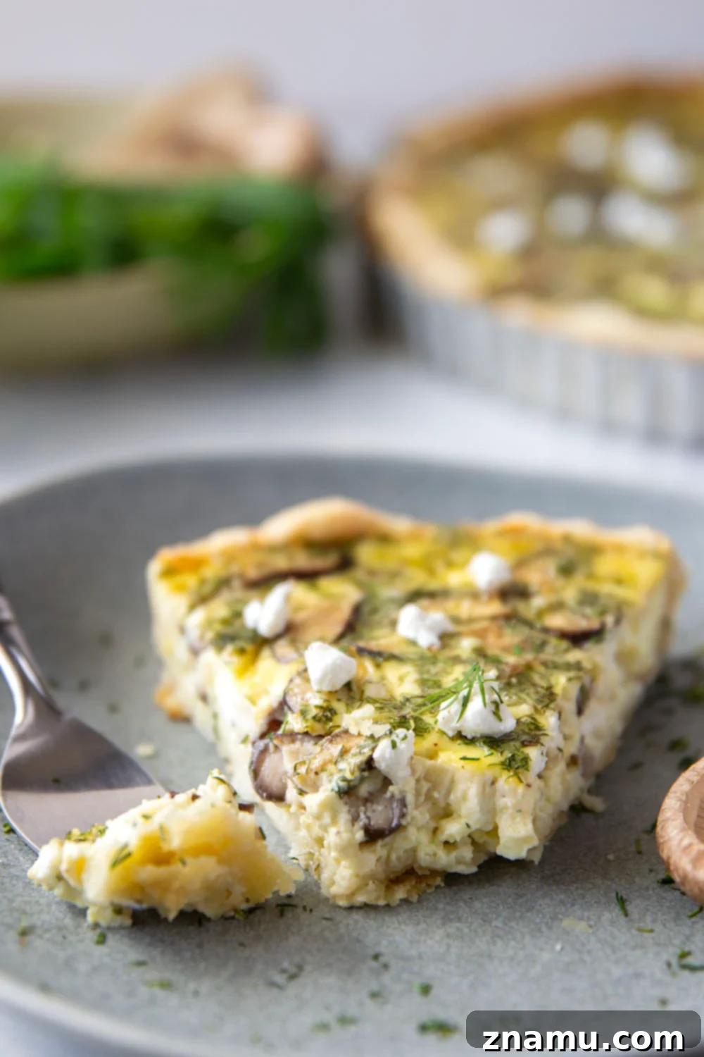 Rustic Wild Mushroom Goat Cheese Quiche 5 Assorted fresh wild mushrooms, ready for preparation in the quiche.