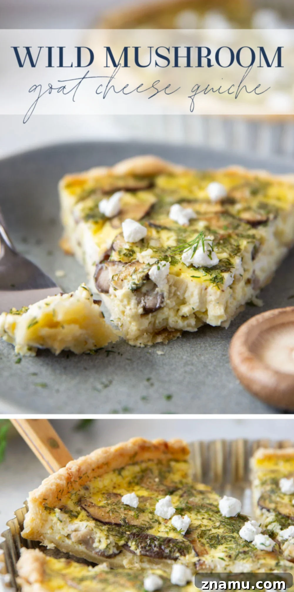 Rustic Wild Mushroom Goat Cheese Quiche 7 Another enticing view of the Wild Mushroom Goat Cheese Quiche, emphasizing its rich texture and gourmet appeal.