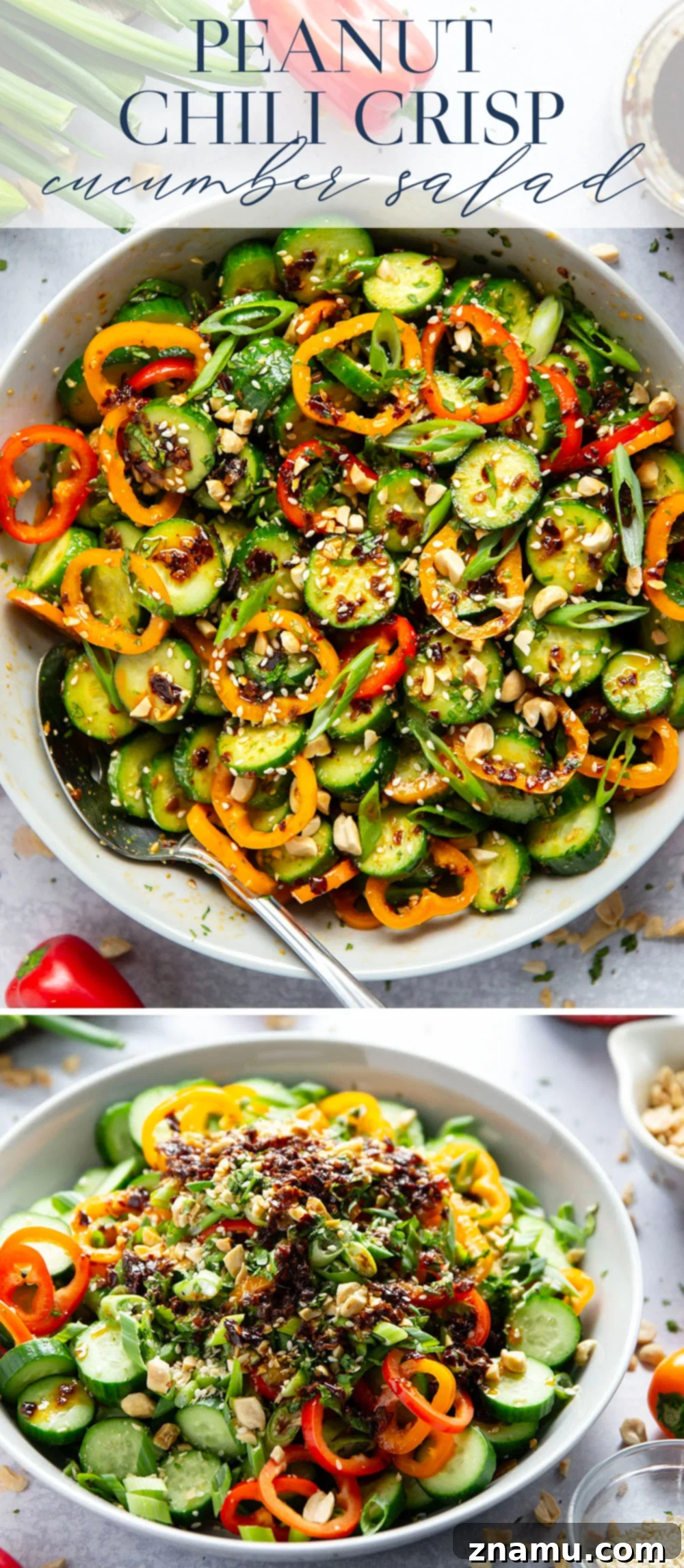 Vibrant Peanut Chili Crisp Cucumber Salad 7 Artfully arranged Chili Crisp Peanut Cucumber Salad in a white bowl, garnished with extra peanuts and green onions.