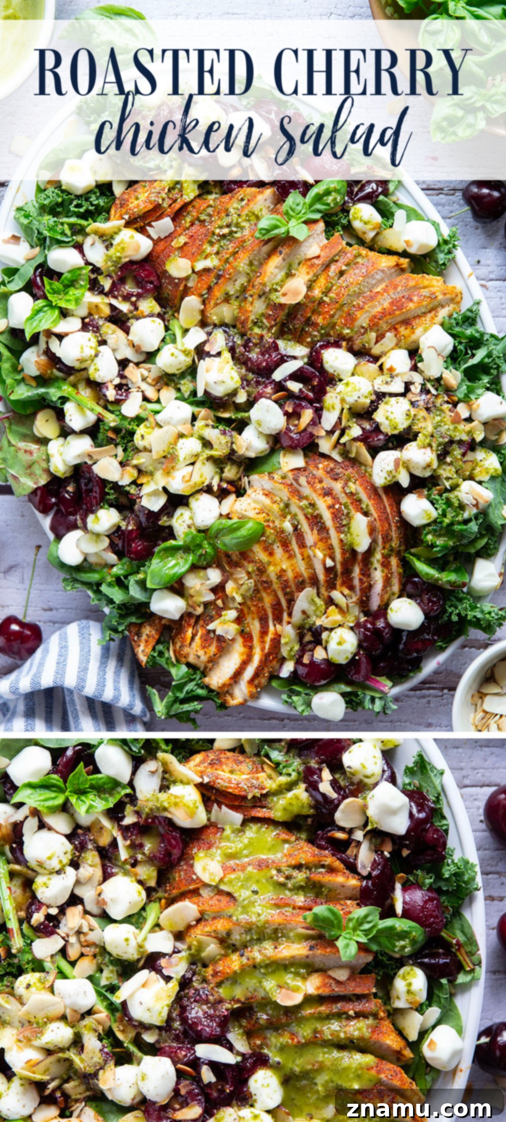Roasted Cherry Chicken Salad with Bright Basil Lemon Dressing 7 Overhead shot of the finished Roasted Cherry Chicken Salad with dressing, ready to serve.