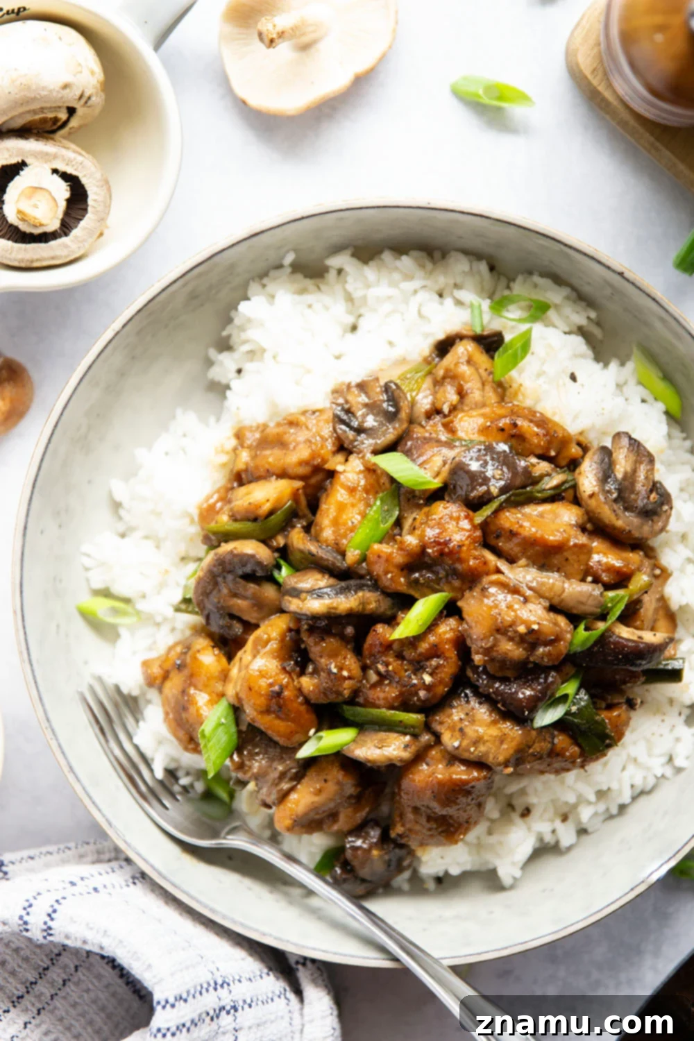 Close-up of Black Pepper Mushroom Chicken Stir Fry with rice and green onions