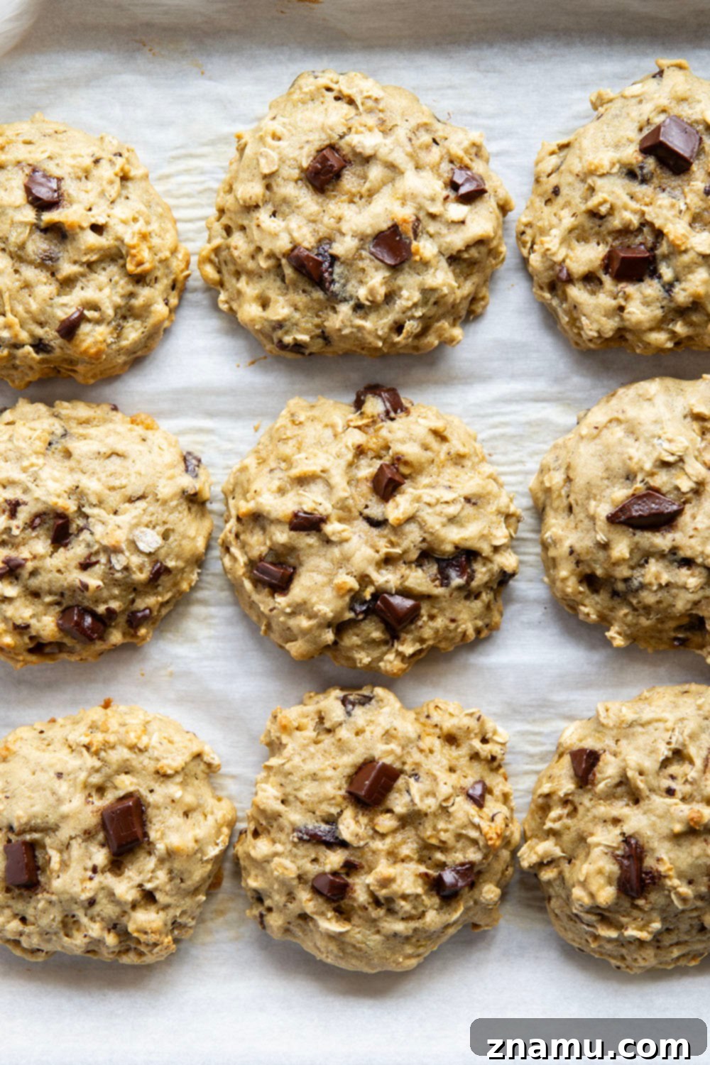 Delicious and healthy banana oatmeal breakfast cookies loaded with chocolate chunks, perfect for a quick morning meal or snack.