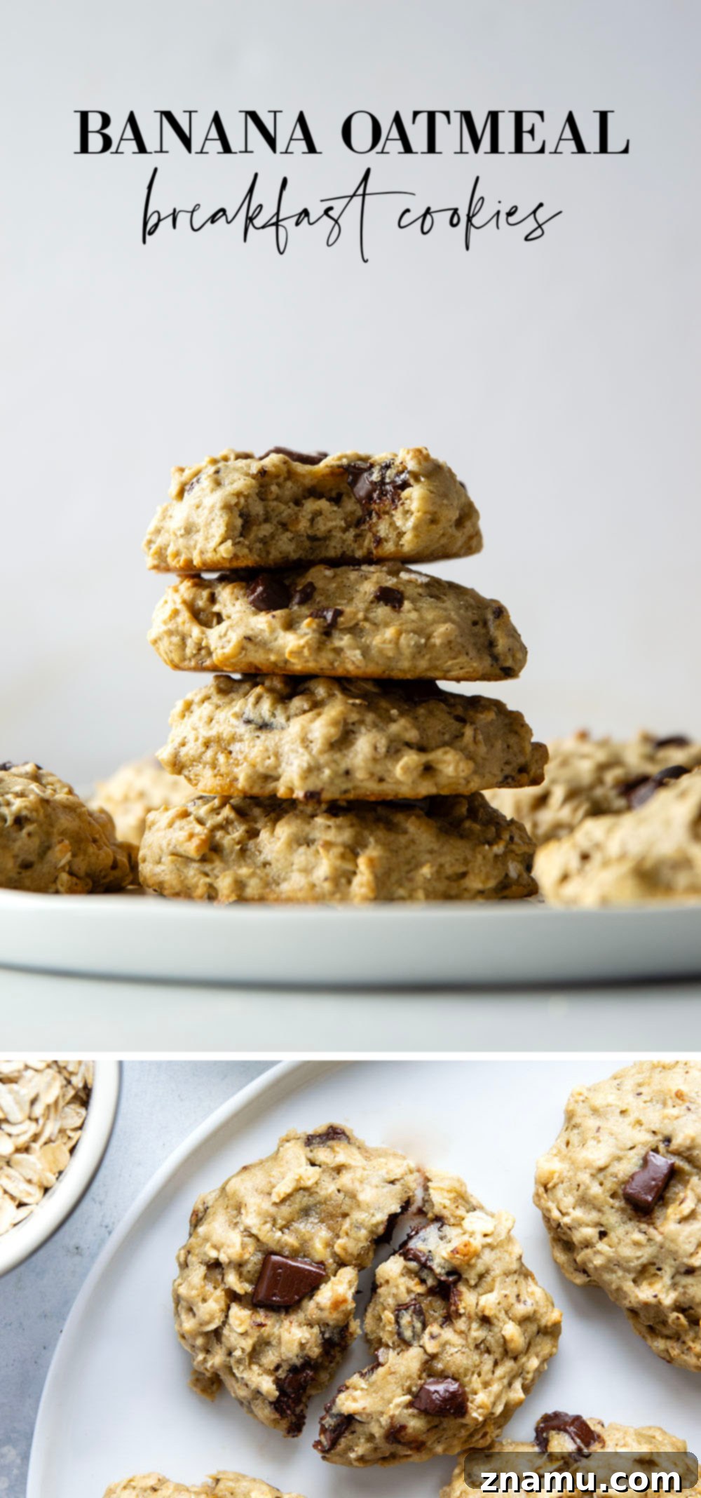 A full batch of banana oatmeal breakfast cookies artfully arranged on a large serving plate, ready to be enjoyed.