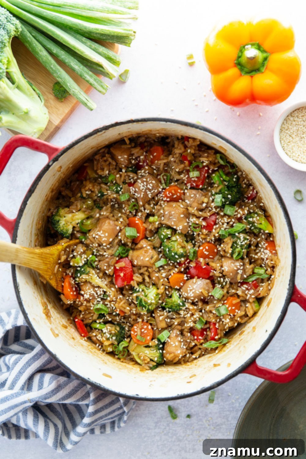 A serving of One-Pot Teriyaki Chicken and Rice garnished with green onions and sesame seeds.