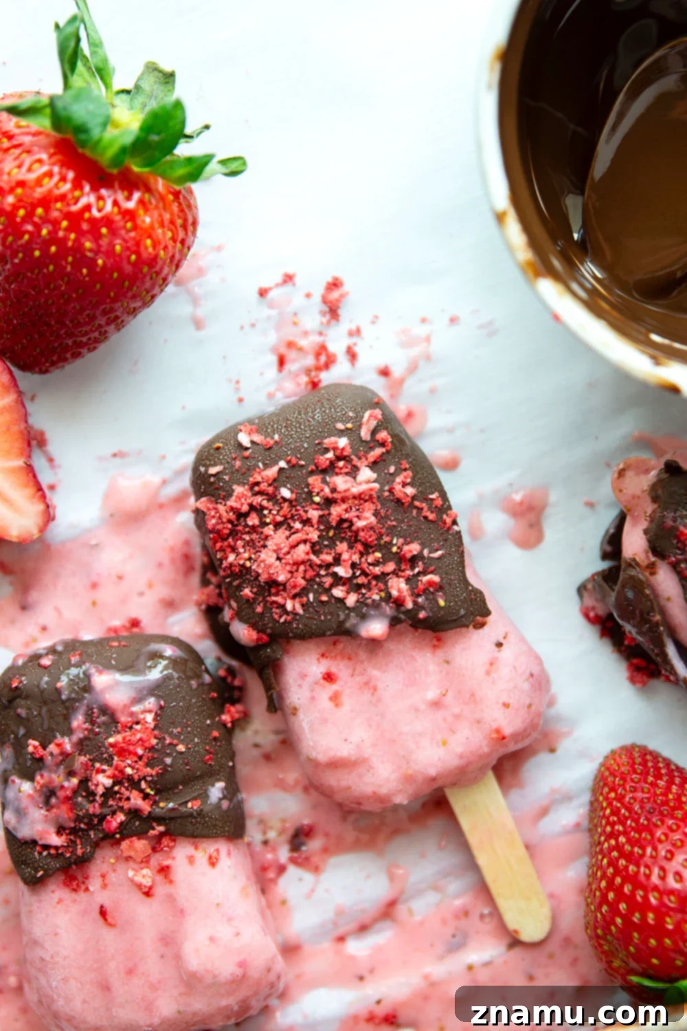 Chocolate-Kissed Strawberry Ice Pops 6 Gourmet Chocolate Covered Strawberry Popsicles Dusted with Freeze-Dried Berries