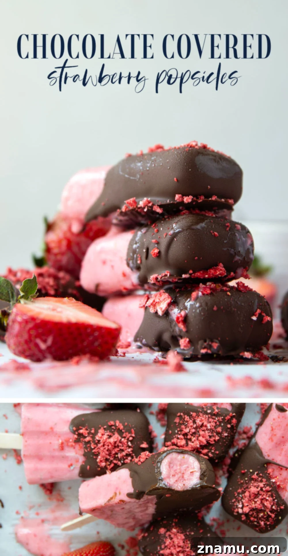 Chocolate-Kissed Strawberry Ice Pops 7 Close-up of Homemade Chocolate Covered Strawberry Popsicles