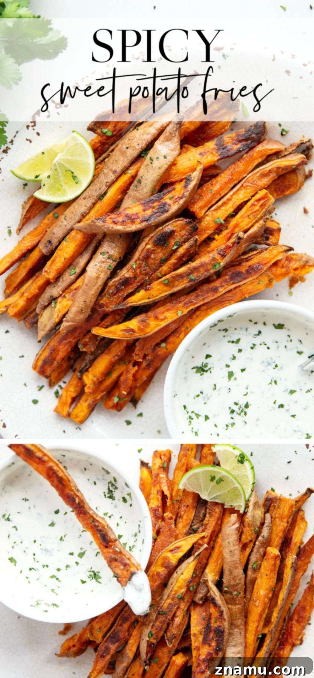 Blazing Sweet Potato Fries with Zesty Cilantro Ranch 7 Sweet and spicy sweet potato fries are perfectly crispy and go incredibly well with a creamy cilantro ranch sauce for dipping.