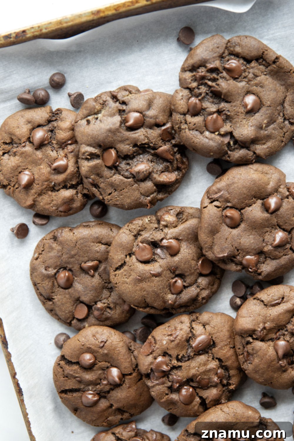 Decadent Double Chocolate Cookies 2 Freshly baked double chocolate chip cookies stacked on a cooling rack, showcasing their soft, chewy texture and abundant chocolate chips.