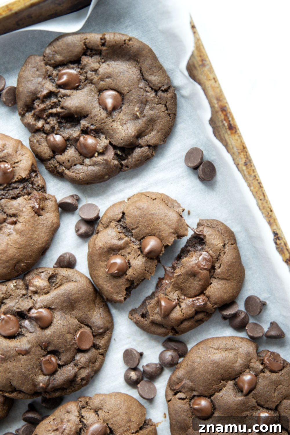 Decadent Double Chocolate Cookies 5 A close-up shot of a perfect double chocolate chip cookie, showcasing its soft interior and abundant melted chocolate.