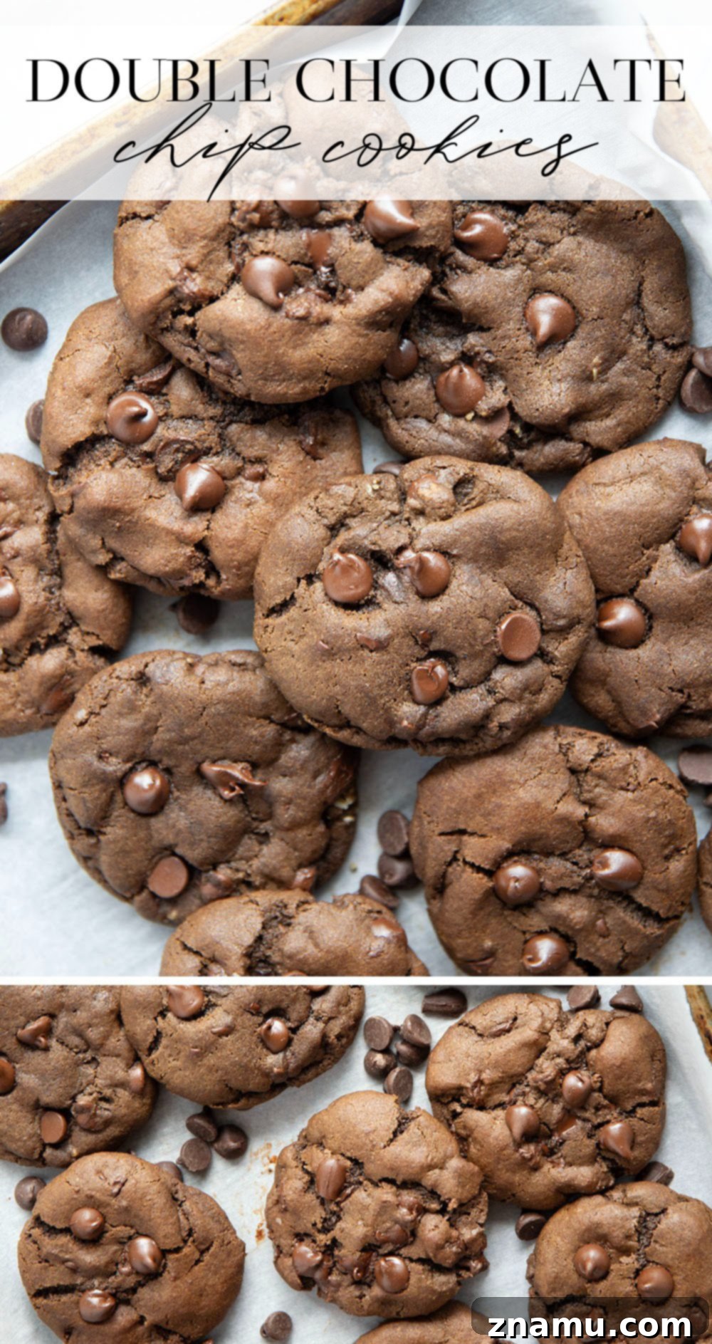 Decadent Double Chocolate Cookies 7 An overhead shot of several double chocolate chip cookies, artfully arranged to highlight their delicious appearance.