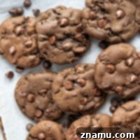 Decadent Double Chocolate Cookies 8 Delicious Double Chocolate Chip Cookies
