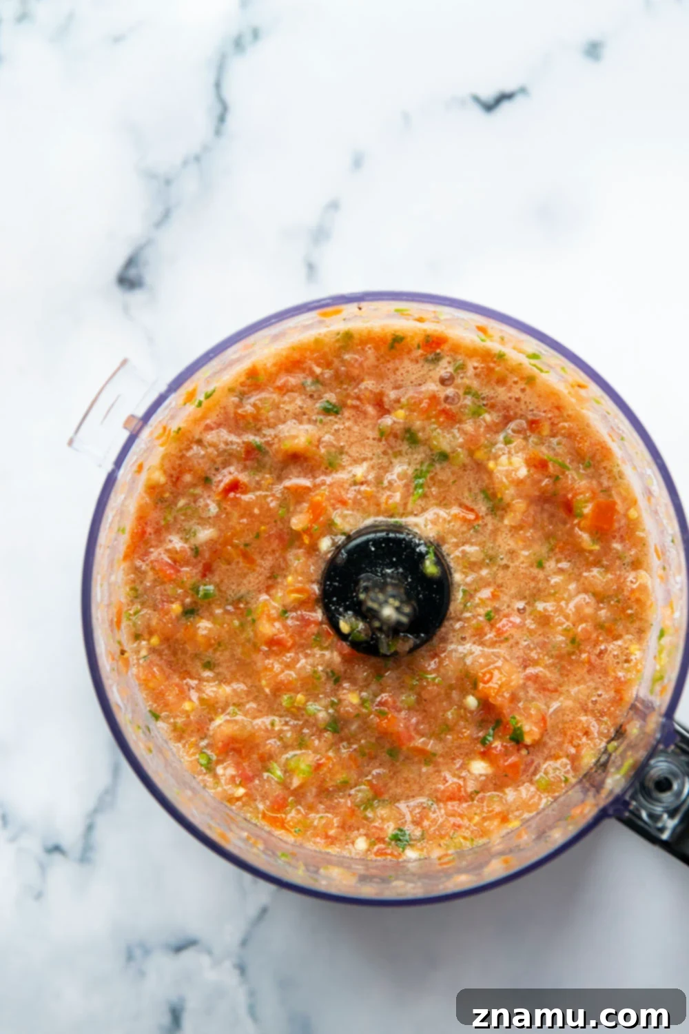 Vibrant Tomato Salsa 5 Fresh tomato salsa blended to perfect consistency in a food processor, ready for serving.