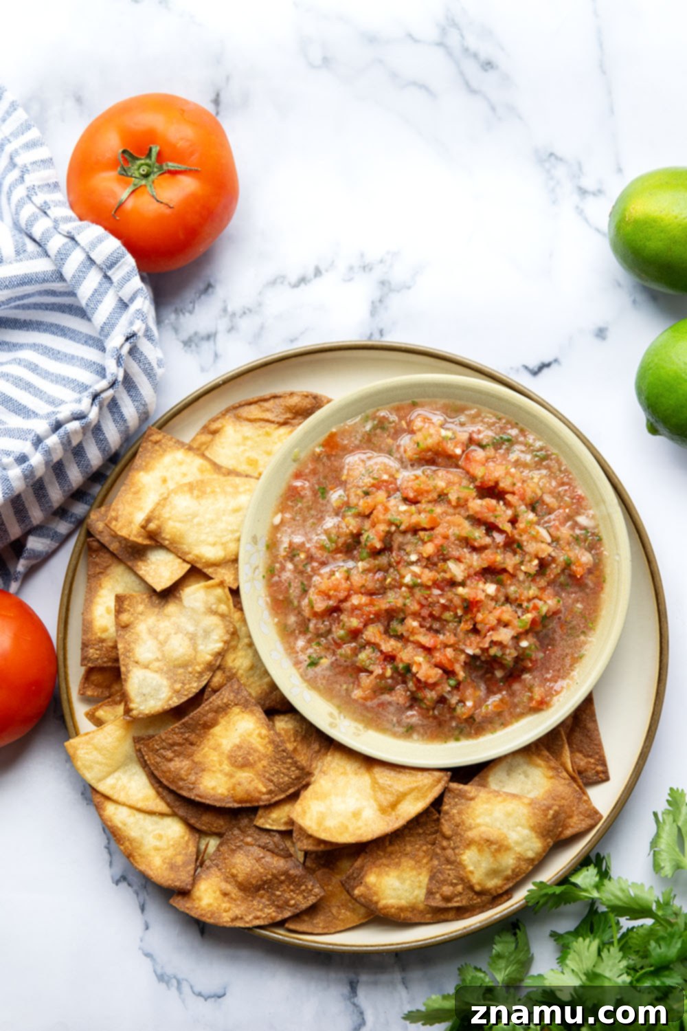 Vibrant Tomato Salsa 6 A bowl of fresh tomato salsa surrounded by crispy tortilla chips, invitingly ready for dipping.