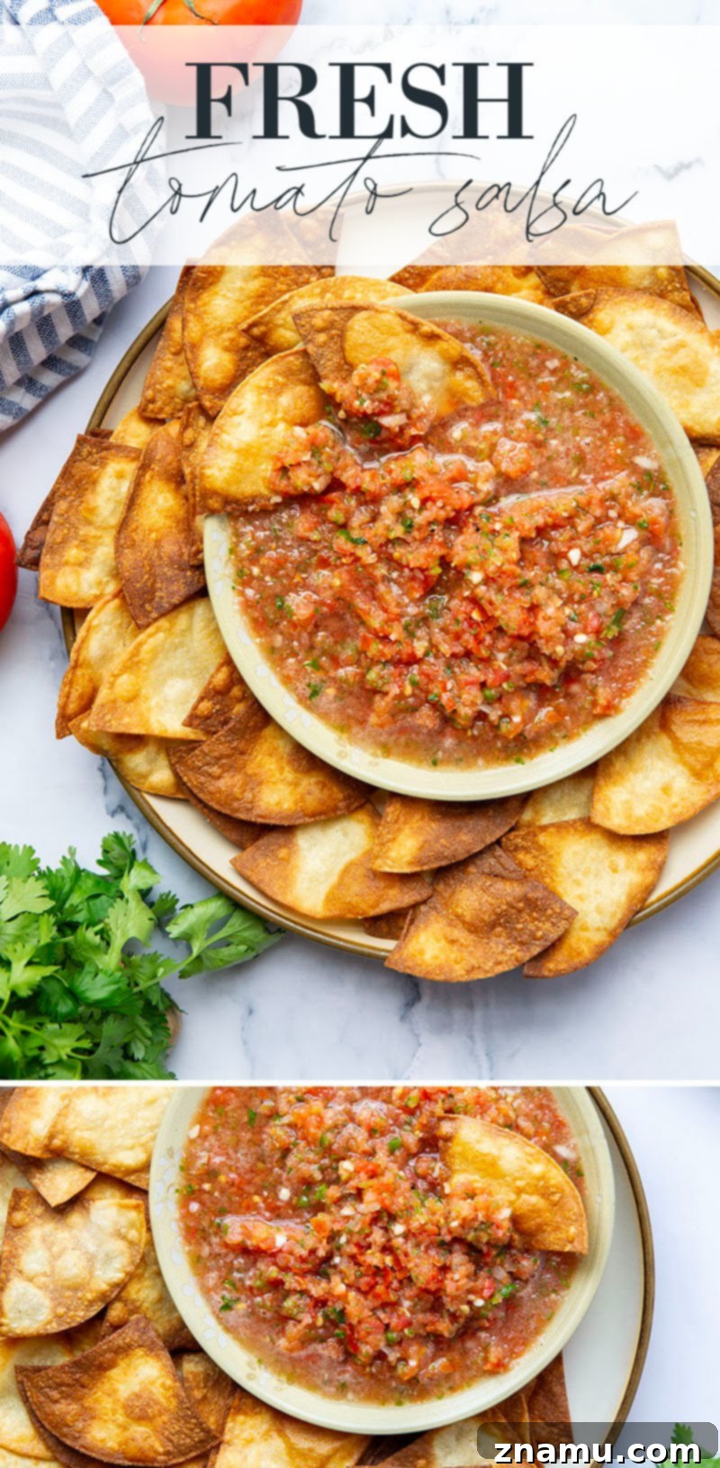 Vibrant Tomato Salsa 7 Generous serving of fresh tomato salsa in a rustic bowl, garnished with cilantro, ready to be enjoyed.