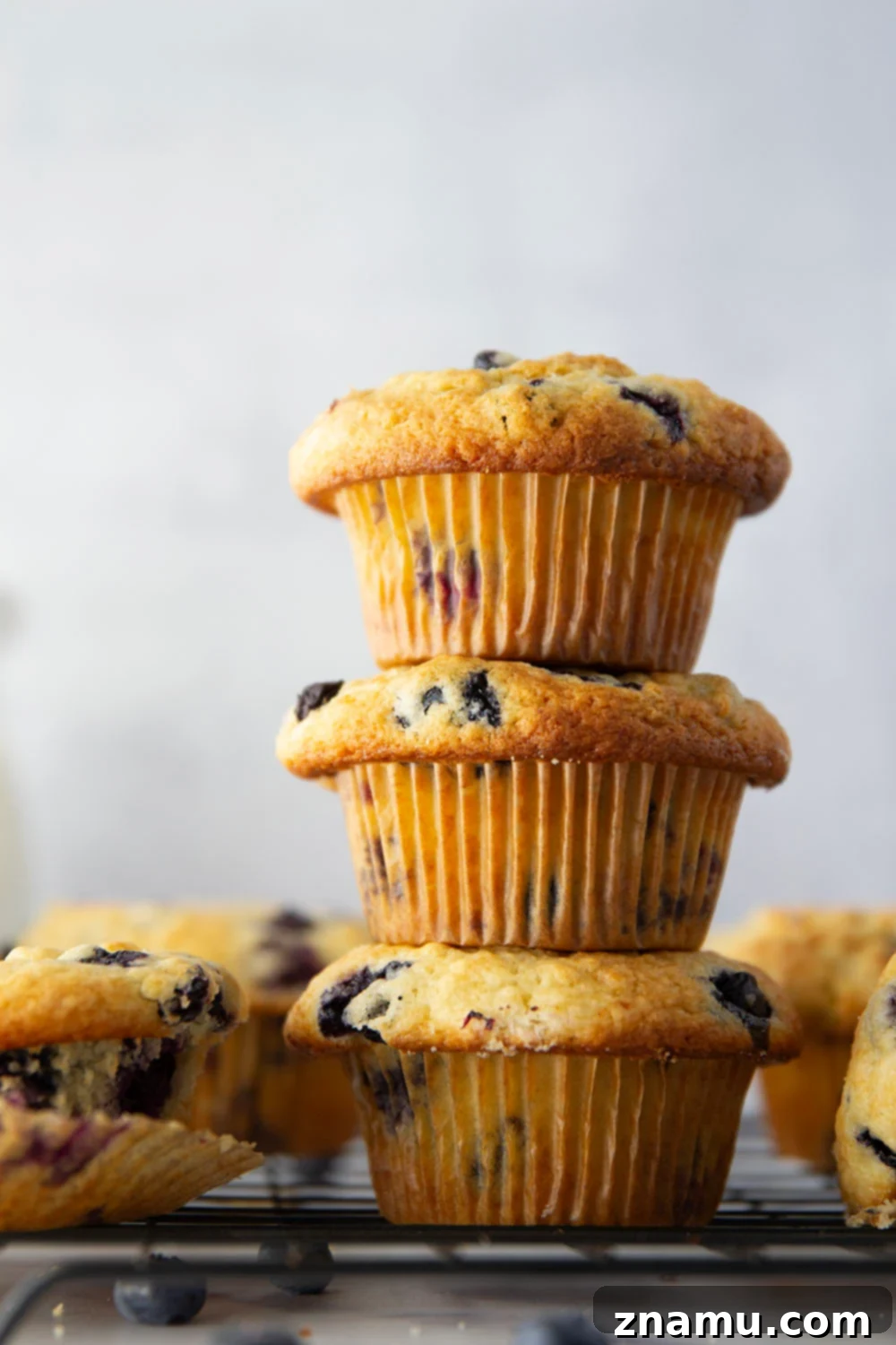 Blueberry Muffins with Cream Cheese Swirl 5 Super soft and moist blueberry cream cheese muffins with a rich cheesecake center and lots of juicy blueberries in every bite.